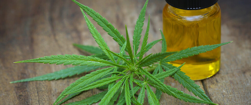 medical marijuana news
