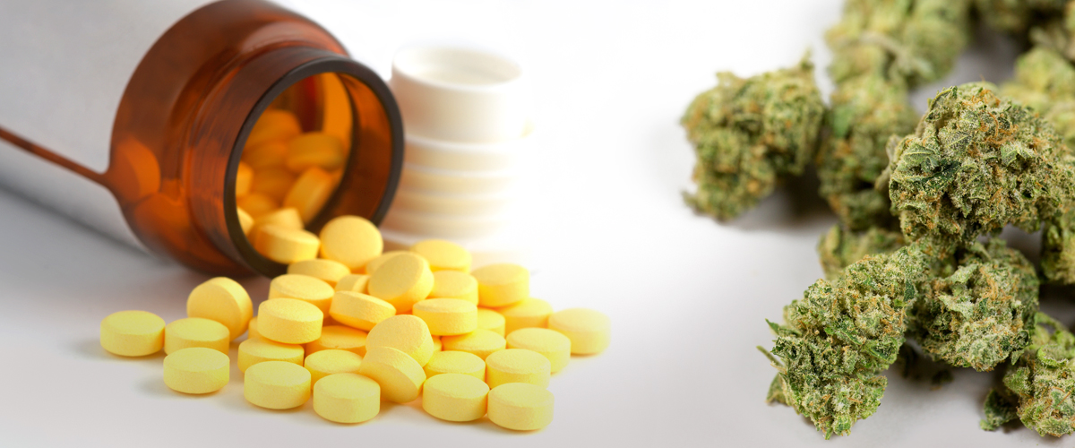 medical marijuana and opioids