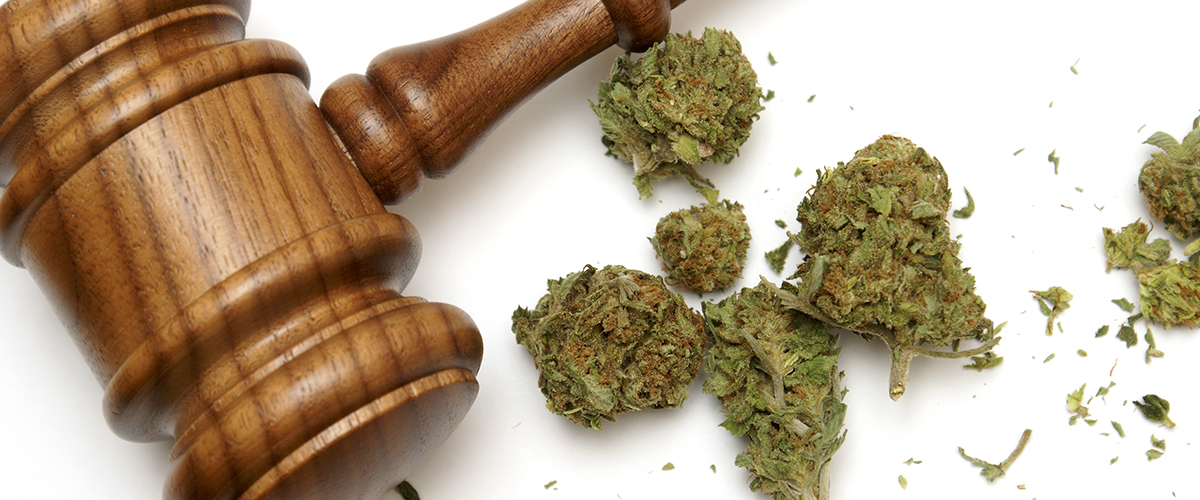 marijuana convictions california