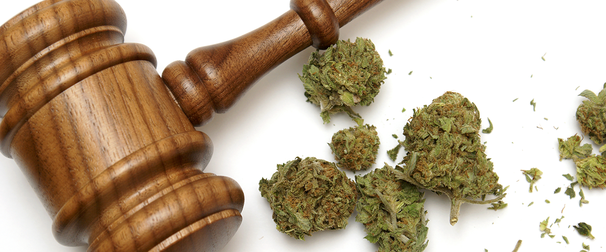 marijuana laws in america