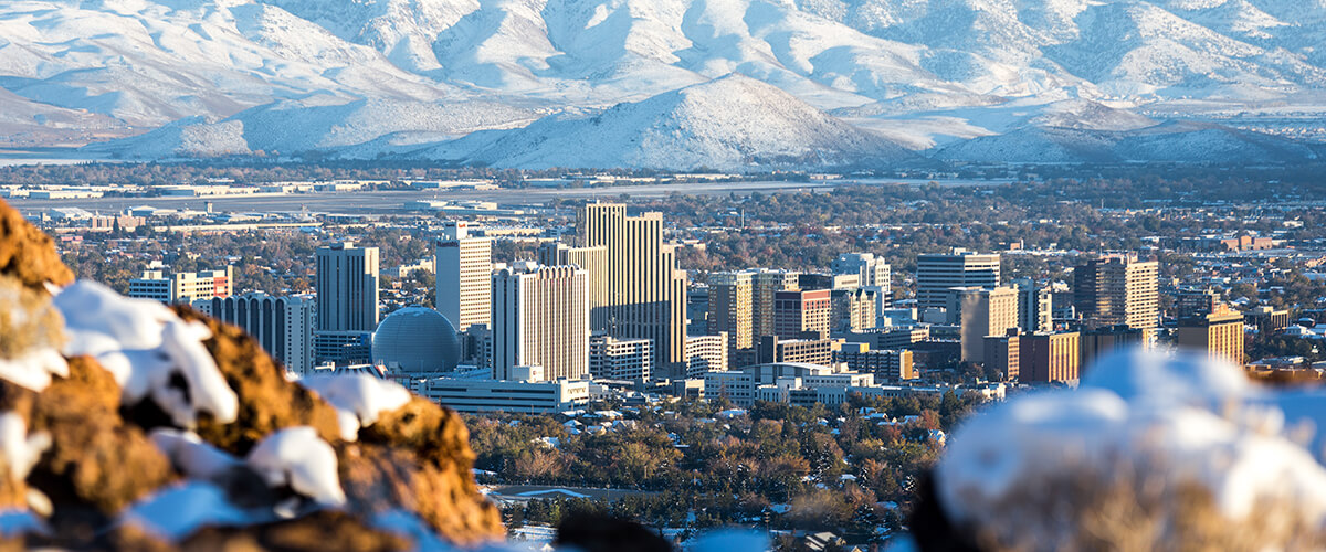 nevada senate race