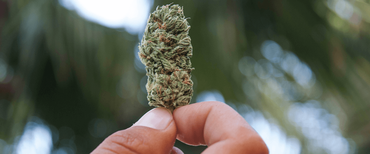 Marijuana in Wisconsin