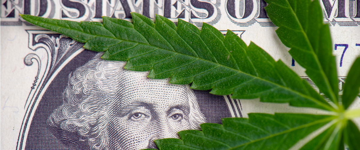 Banks for Marijuana Businesses